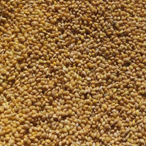 MIJO AMARILLO NON GMO